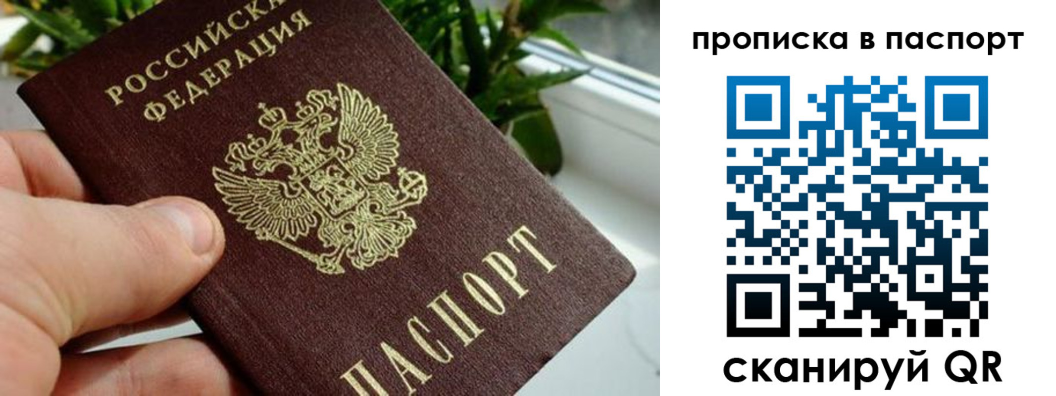 пропишу в квартире в Петушках